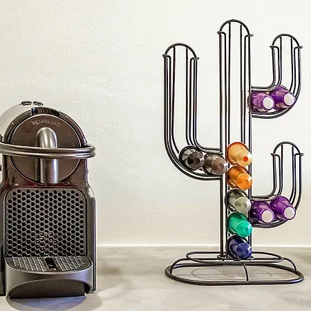 Charming Bonfim Penthouse