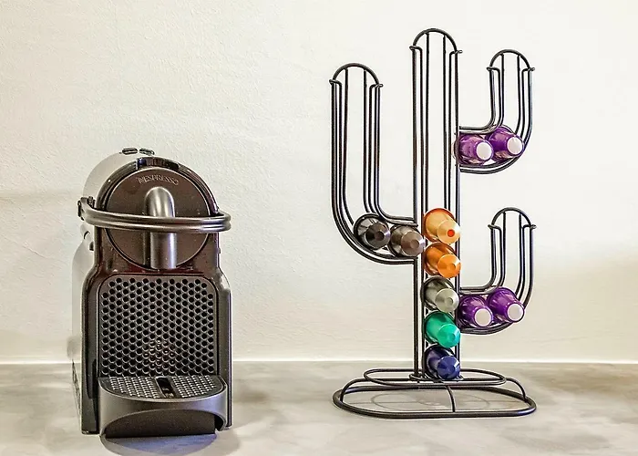 Charming Bonfim Penthouse